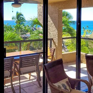  Apartment Downtown Kona With Pool Access Walk To Beach! United States
