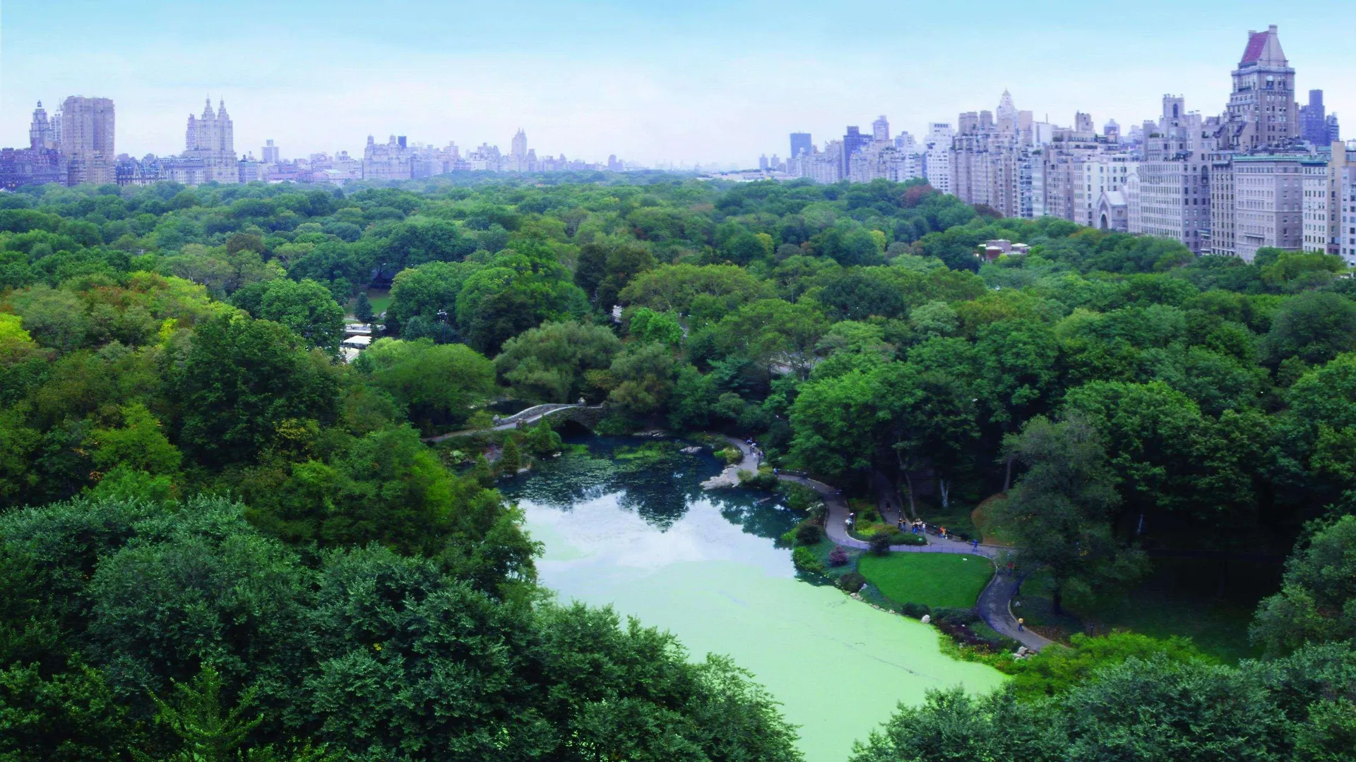 The Plaza Hotel New York 5*,  United States
